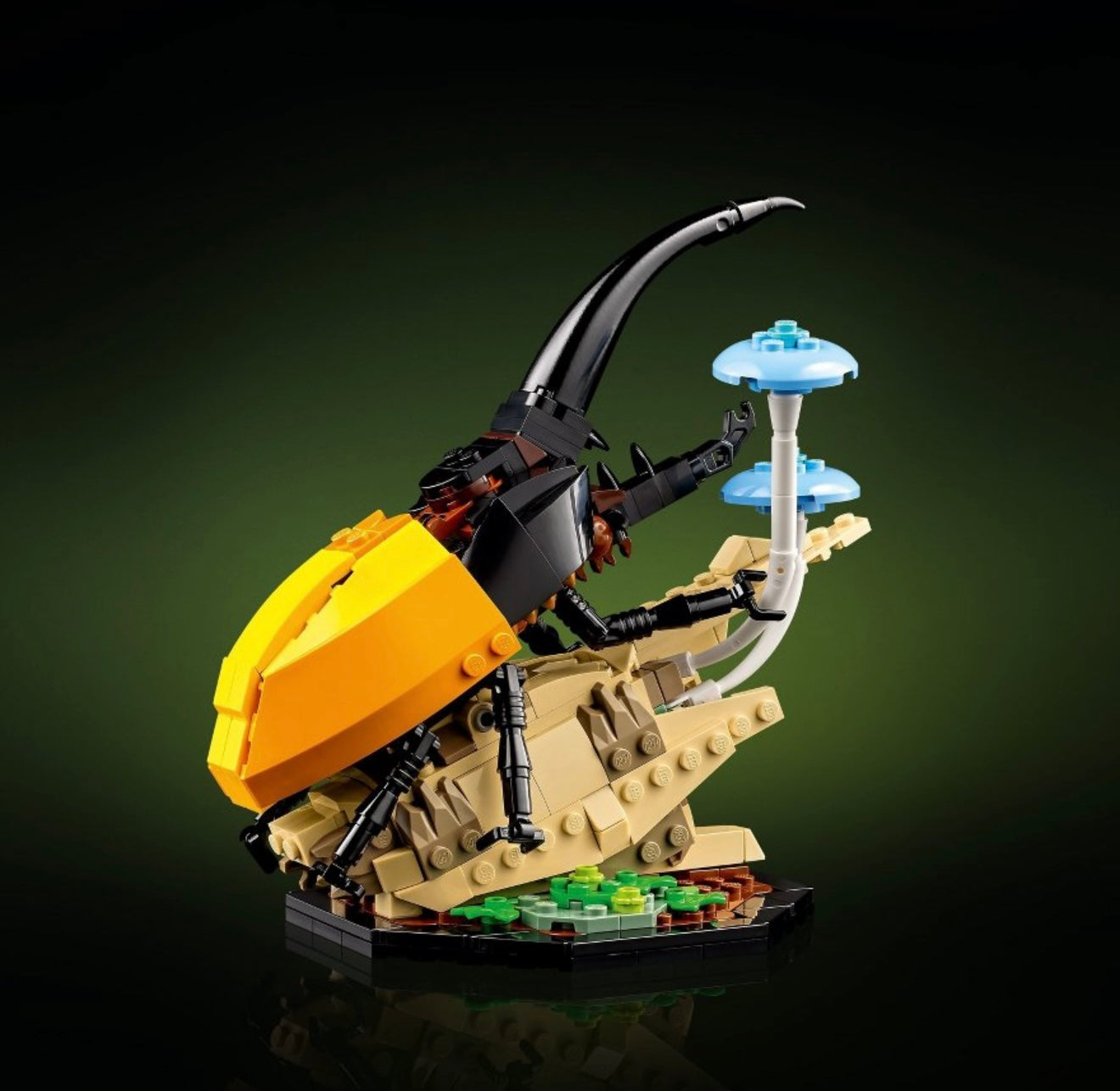 LEGO - 21342 The Insect Collection 2023 #107281