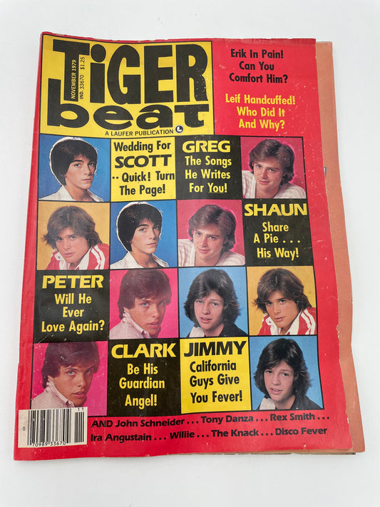 Tiger Beat Magazine - November 1979 #102126