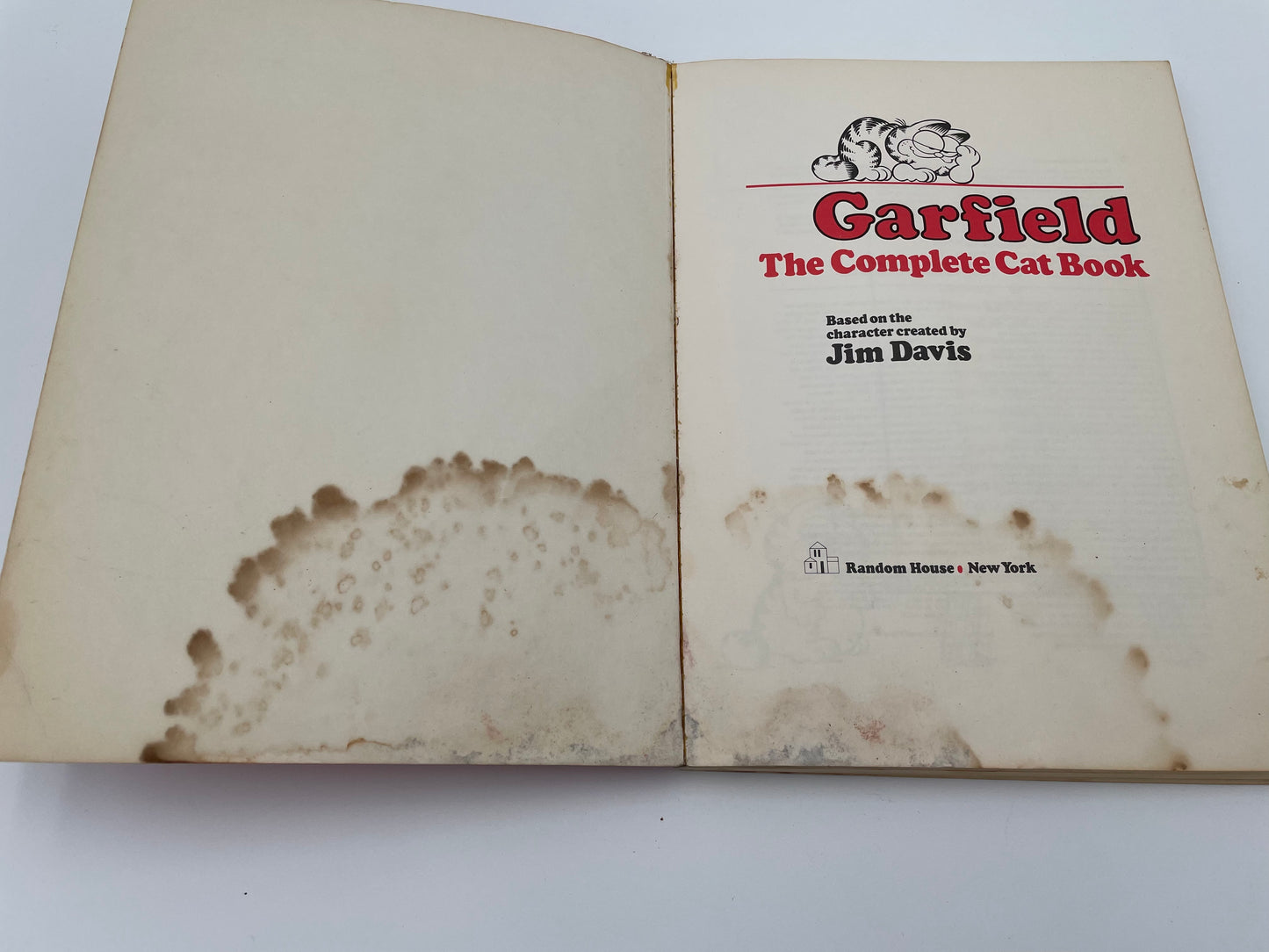 Garfield, The Complete Cat Book 1981 - #101992