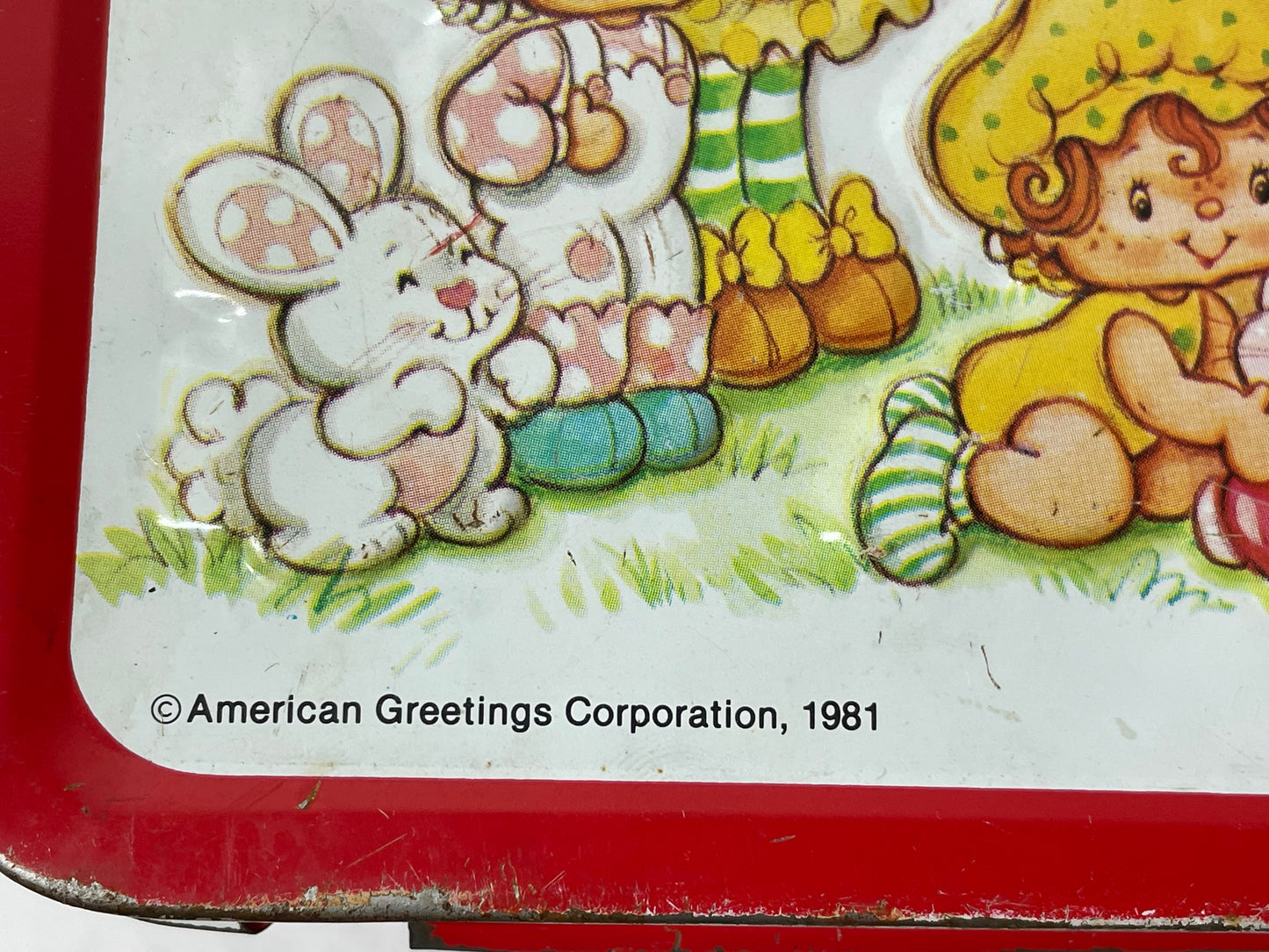 Strawberry Shortcake Lunch Box 1981 #100094